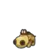 Hippopotas