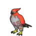 Talonflame