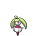 Steenee