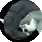 Donphan