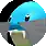 Sealeo