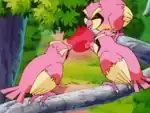 Pidgey