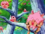 Caterpie, Mankey, Venonat, Weedle & Primeape