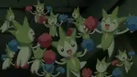 Project Mew's Roselia
