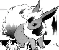 Pyro's Flareon