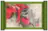 Red Scroll