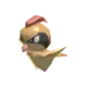 Pidgeotto