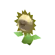 Sunflora