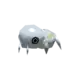 Nincada