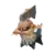Type: Null