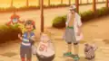 Togedemaru's gray hand
