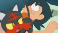 Litten's tail error
