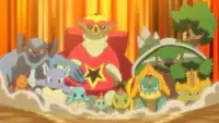 Shell Sage's Squirtle