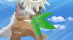 Whirlwind being used by a wild Shiftry