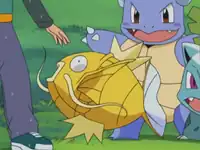 Jimmy's Magikarp