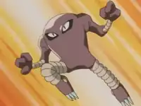 Shiro's Hitmonlee