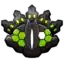 Zygarde