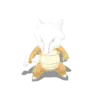 Marowak
