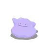 Ditto
