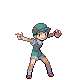 Camper Curtis