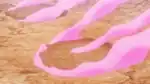 Laquium Signs emitting from Karatō's Scovillain's footprints
