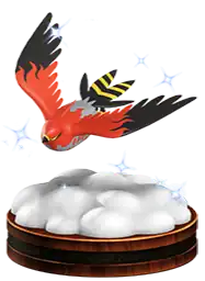 Talonflame (243)