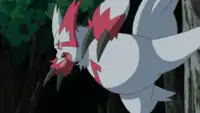 Weiss's Zangoose