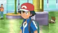 Zigzagoon's hind legs error