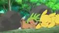 Chespin's light-brown arm