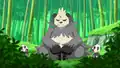 Pangoro with darker ears and paws