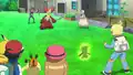Chespin's spot error