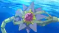Starmie's miscolored arm