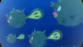 Qwilfish's bellies error
