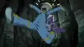Noibat's eyelid error