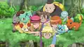 Bulbasaur's bulb error