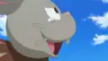 Bunnelby's tooth error