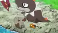 Tyrunt's horn error