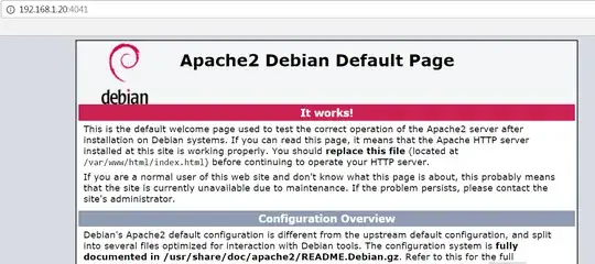 port 4041 root