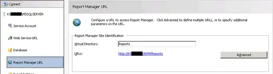 Report Manager