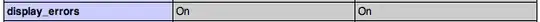 This is the value of my display_errors