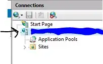 IIS Server node