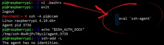 Added ssh-agent to host