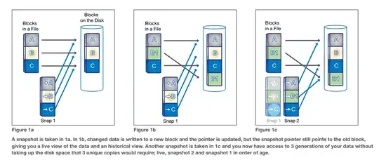 NetApp Snapshots