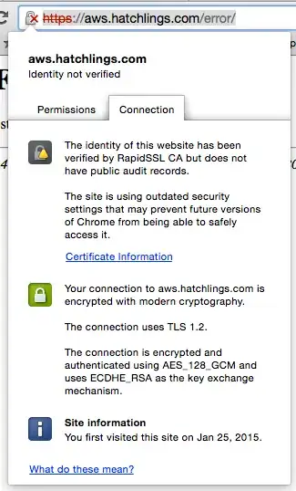 Chrome Error