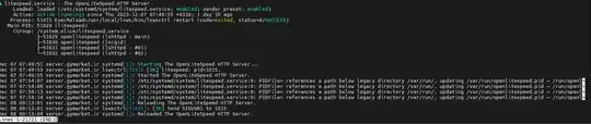image shows lite speed is enabled