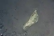 Providence Atoll in an image from space on 15&nbsp;April&nbsp;2001. Providence Island runs very close to north-south, which the image does not reflect.