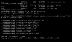 An OpenSolaris kernel panic.