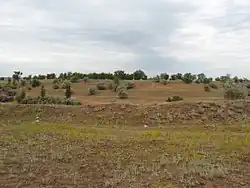 Landscape in Nikolayevsky District