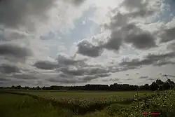 Rice fields in Rudboneh