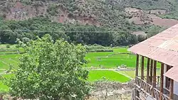 Rice fields in Miladasht, 2018